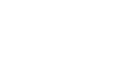 Data visualization techniques